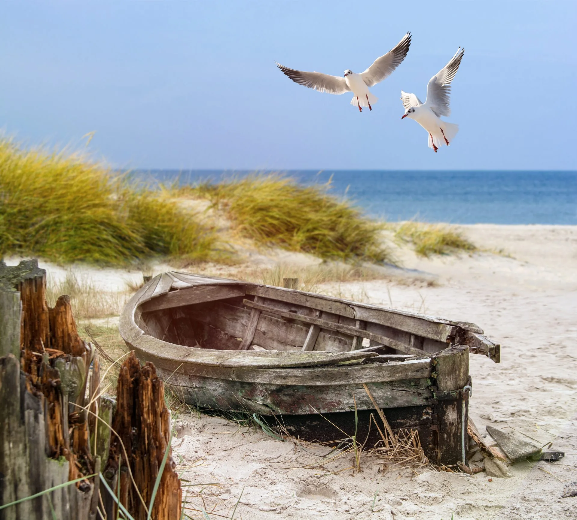 Boot am Strand von Zingst mit Möwen
